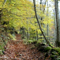 Camin de Bedreda. Era Honeria